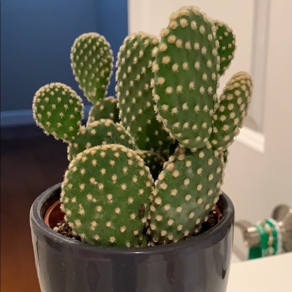 stuffnthings1